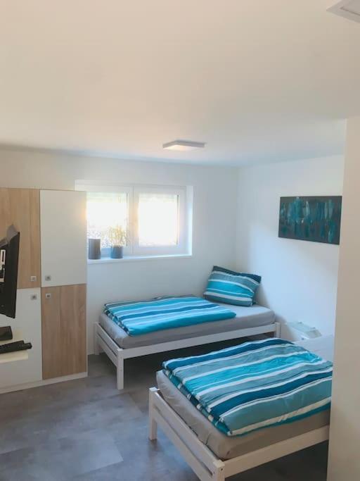 Moderne, Helle Ferienwohnung In Au Am Rhein מראה חיצוני תמונה
